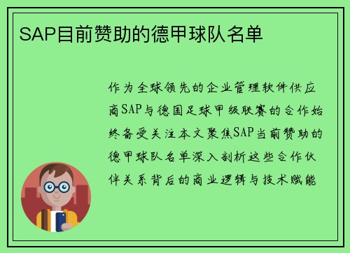 SAP目前赞助的德甲球队名单